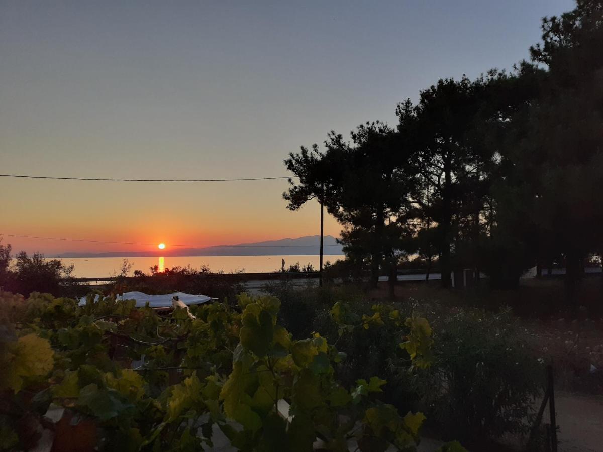 Το Σπίτι Με Το Πηγάδι - Wellcottage Thassos Skala Kallirakhis Exterior photo