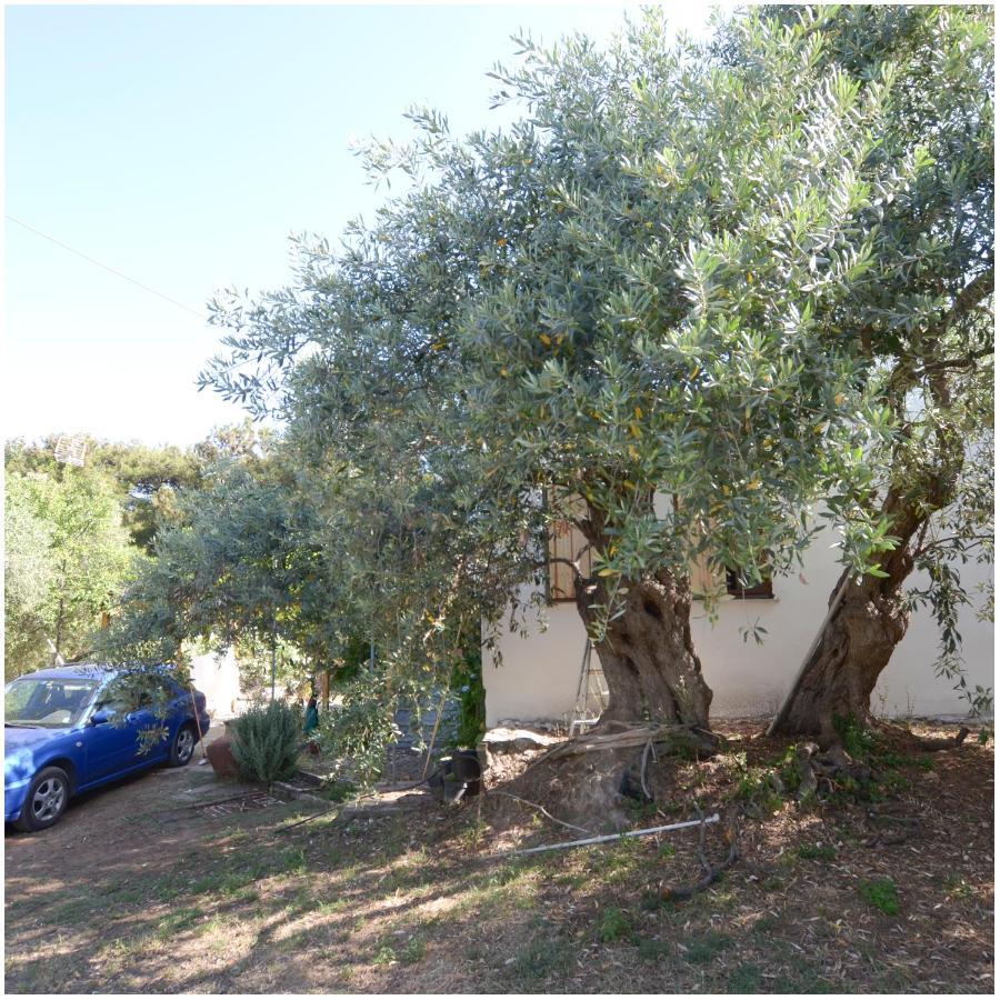 Το Σπίτι Με Το Πηγάδι - Wellcottage Thassos Skala Kallirakhis Exterior photo