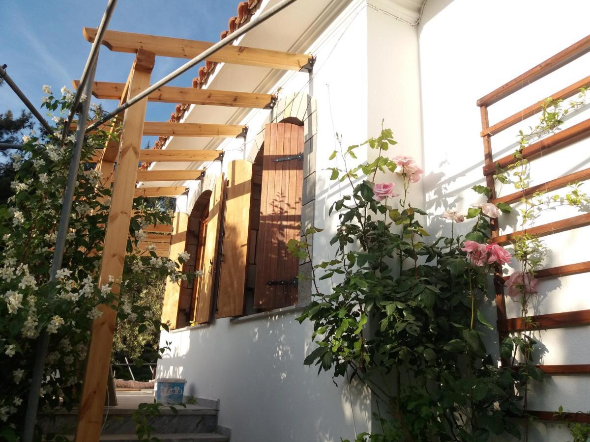 Το Σπίτι Με Το Πηγάδι - Wellcottage Thassos Skala Kallirakhis Exterior photo