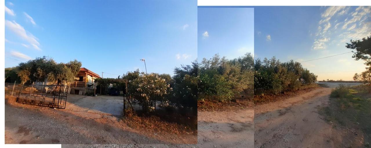 Το Σπίτι Με Το Πηγάδι - Wellcottage Thassos Skala Kallirakhis Exterior photo